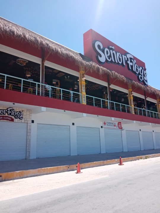 Instalación Señor Frogs imagen carrusel 6